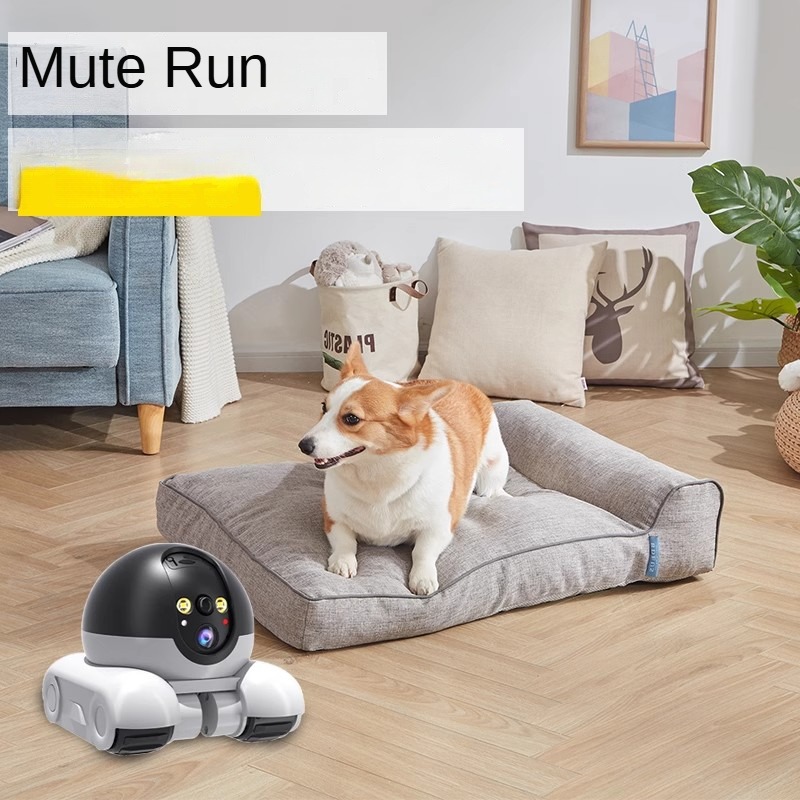 1080P HD كاميرا تتبع السيارات  - مراجعة Smart Home Camera Ezviz وسعره